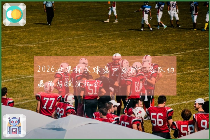 2026世界杯买球盘口分析：各队的赢面与投注机会
