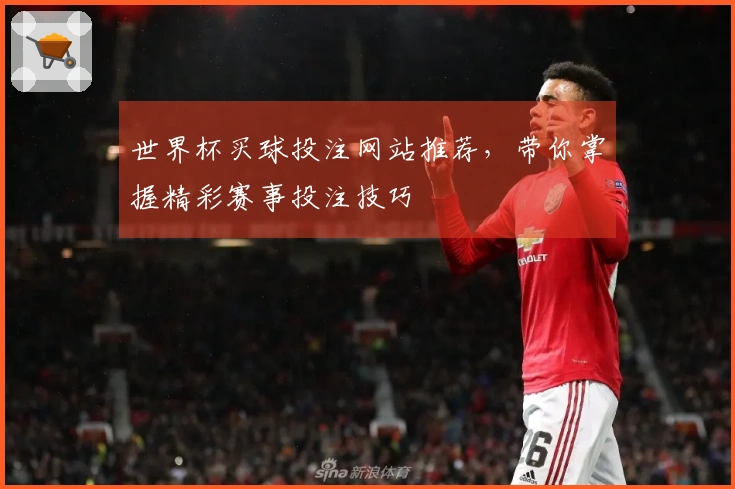 世界杯买球投注网站推荐，带你掌握精彩赛事投注技巧