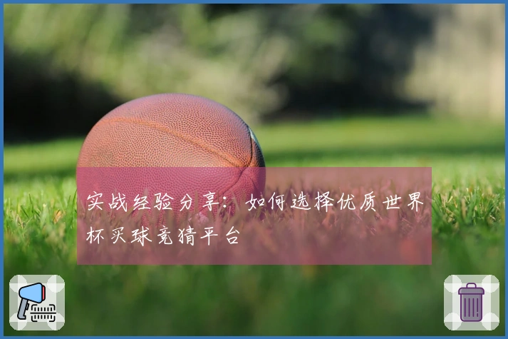 实战经验分享：如何选择优质世界杯买球竞猜平台