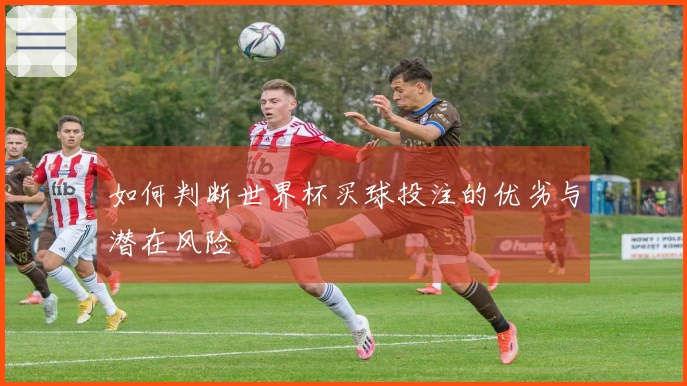 如何判断世界杯买球投注的优劣与潜在风险