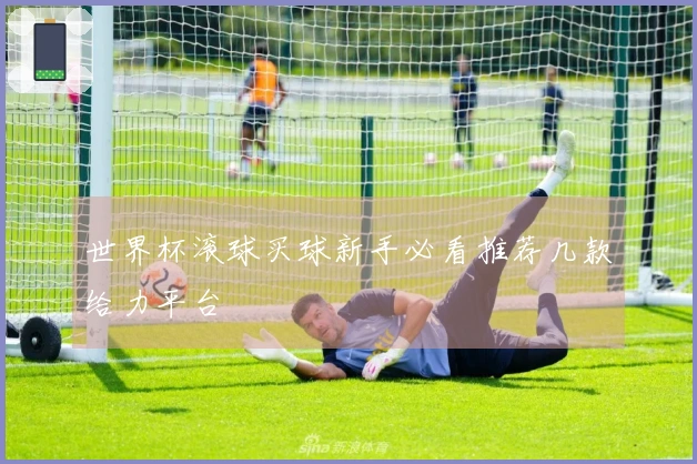 世界杯滚球买球新手必看推荐几款给力平台