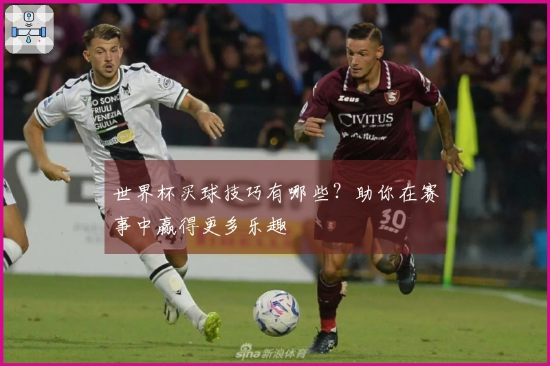 世界杯买球技巧有哪些？助你在赛事中赢得更多乐趣