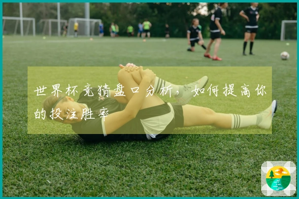 世界杯竞猜盘口分析，如何提高你的投注胜率