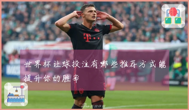 世界杯让球投注有哪些推荐方式能提升你的胜率