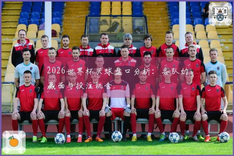 2026世界杯买球盘口分析：各队的赢面与投注机会