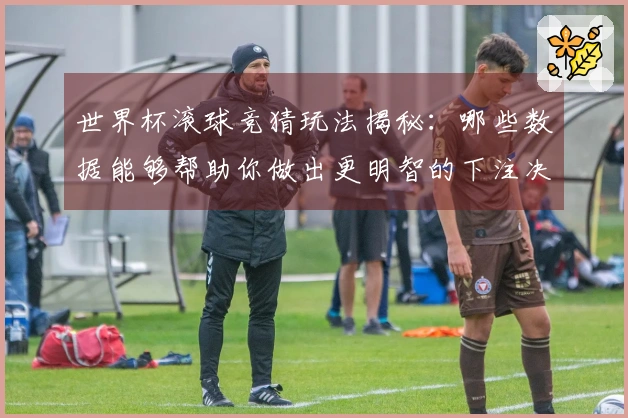 世界杯滚球竞猜玩法揭秘：哪些数据能够帮助你做出更明智的下注决策