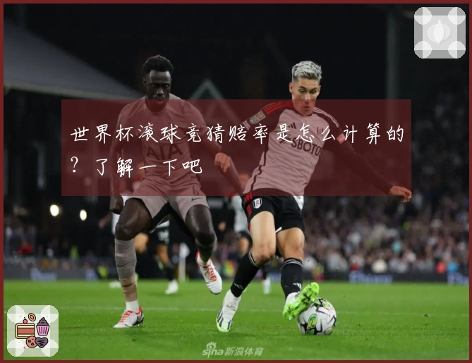 世界杯滚球竞猜赔率是怎么计算的？了解一下吧