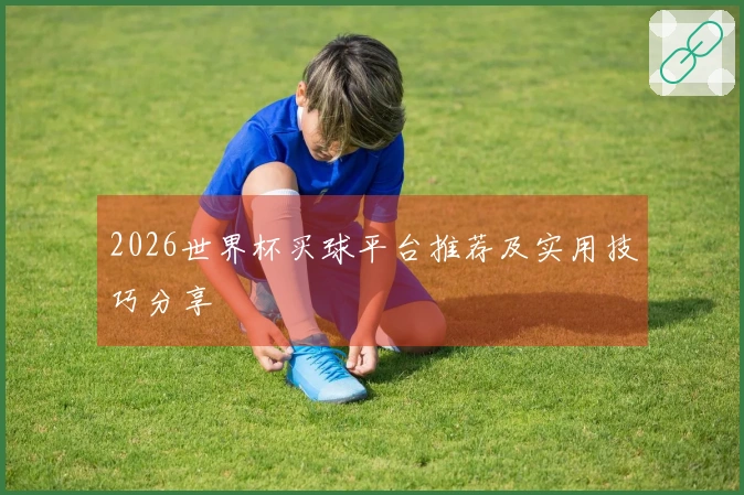 2026世界杯买球平台推荐及实用技巧分享