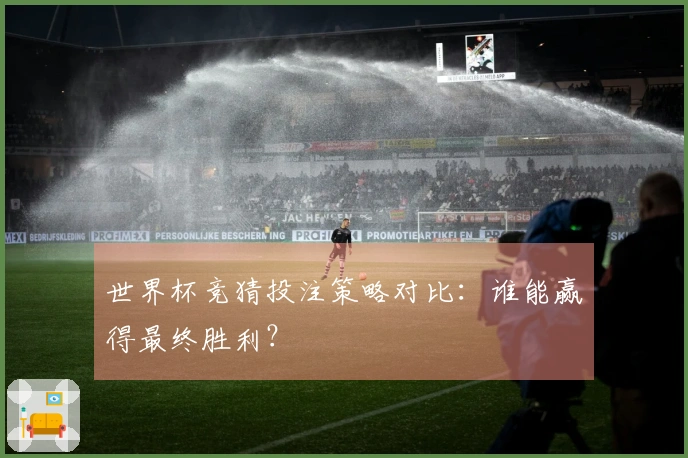 世界杯竞猜投注策略对比：谁能赢得最终胜利？