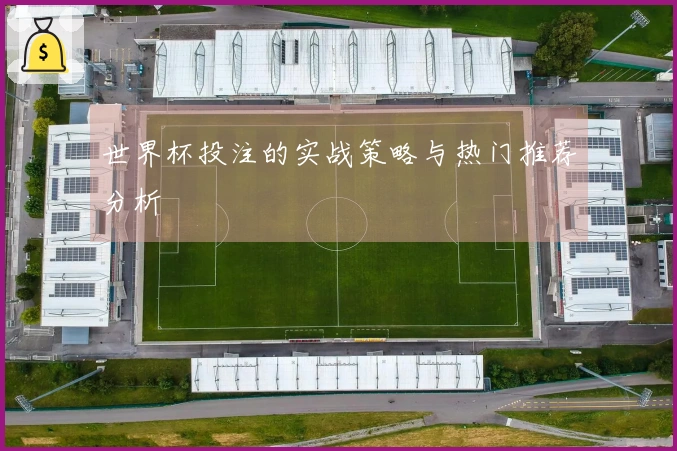 世界杯投注的实战策略与热门推荐分析