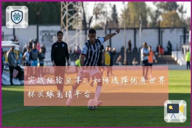 实战经验分享：如何选择优质世界杯买球竞猜平台