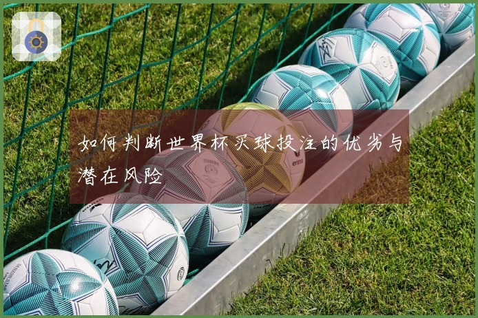 如何判断世界杯买球投注的优劣与潜在风险