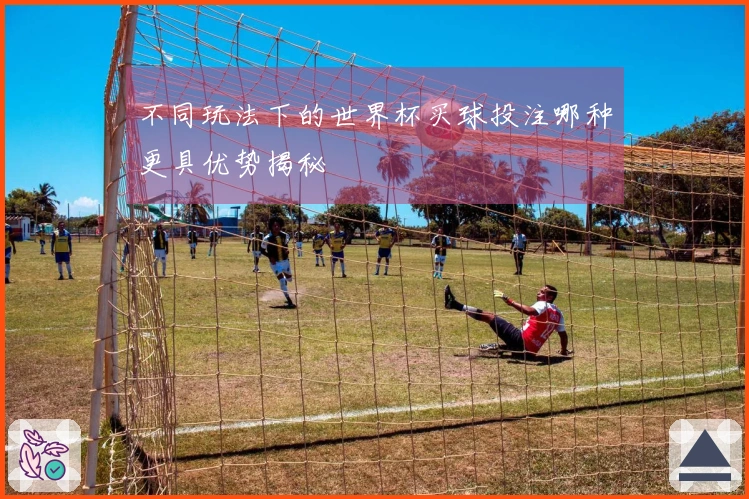 不同玩法下的世界杯买球投注哪种更具优势揭秘
