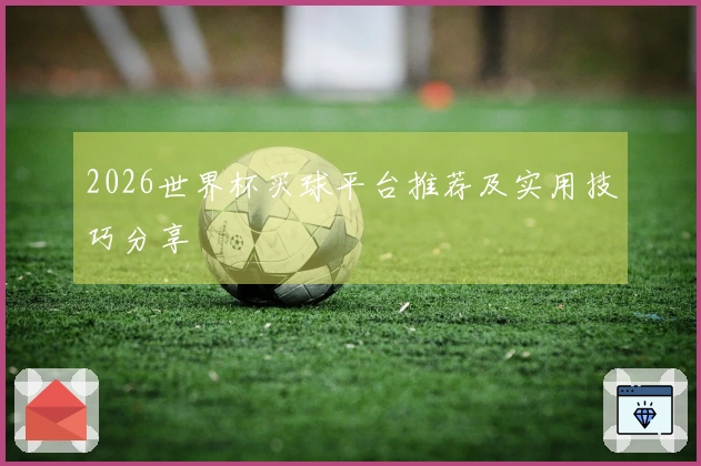 2026世界杯买球平台推荐及实用技巧分享